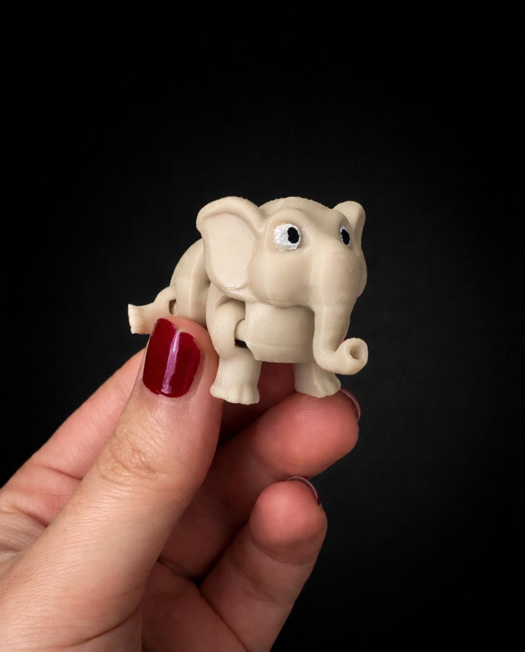 3D Printed Articulated Animals, Flexible Fidget Toys, Desk Decor, Keychain Option