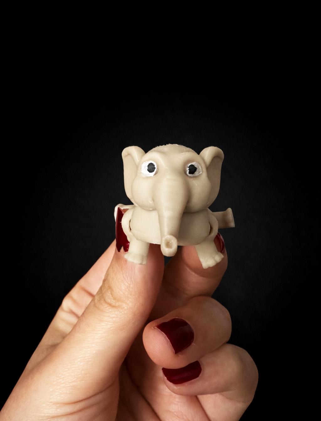 3D Printed Articulated Animals, Flexible Fidget Toys, Desk Decor, Keychain Option
